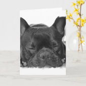 Carte de voeux de bouledogue français (Fleur jaune)