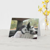 Carte de voeux de bouteur (Fleur jaune)