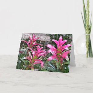 Carte de voeux de Bromeliad