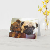 Carte de voeux de Bumblesnot : Je suis ici si vous (Fleur jaune)