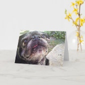 Carte de voeux de Bumblesnot : Recherche (Fleur jaune)