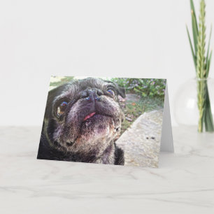 Carte de voeux de Bumblesnot : Recherche