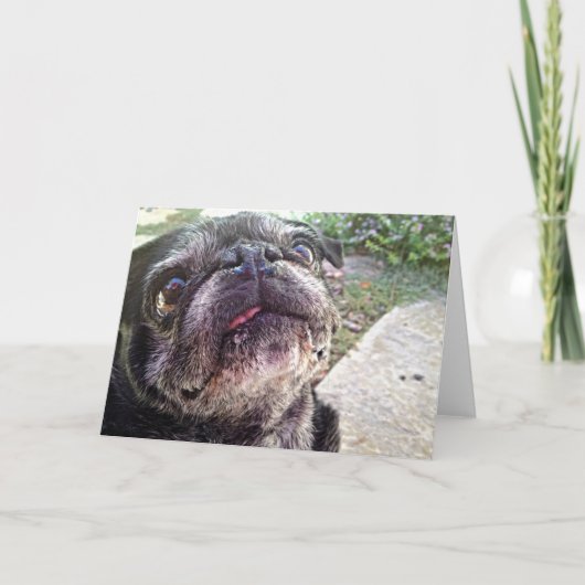 Carte de voeux de Bumblesnot : Recherche (Devant)