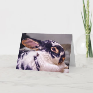 Carte de voeux de BunnyLuv comportant le billet de