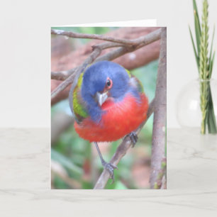 Carte de voeux de Bunting Peint