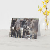 Carte de voeux de Burro (Fleur jaune)