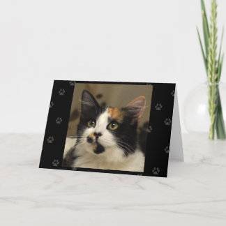 Carte de voeux de calicot de délivrance de chat de