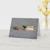 Carte de voeux de canards (Fleur jaune)