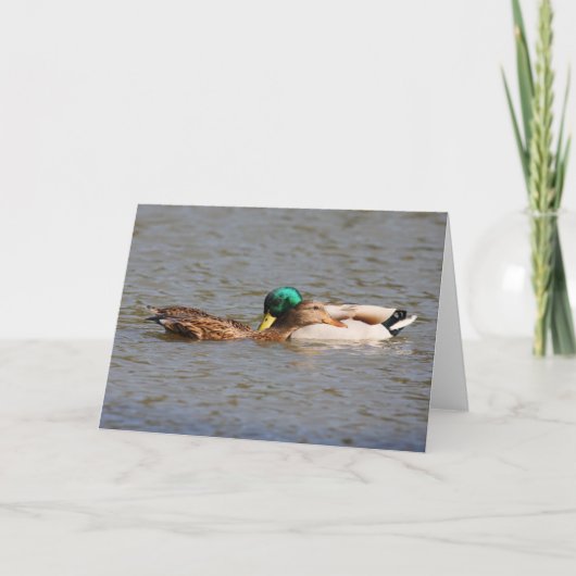 Carte de voeux de canards (Devant)