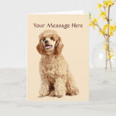 Carte de voeux de caniche (Fleur jaune)