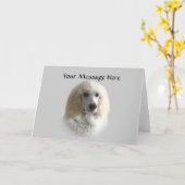 Carte de voeux de caniche (Fleur jaune)