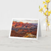 Carte de voeux de canyon grand (Fleur jaune)