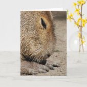 Carte de voeux de Capybara (Fleur jaune)