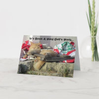 Carte de voeux de Cat Nappin