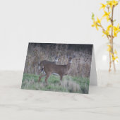 Carte de voeux de cerfs communs (Fleur jaune)