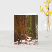 Carte de voeux de cerfs communs de mule (Fleur jaune)