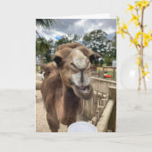 carte de voeux de chameau (bonjour là-bas) (Fleur jaune)