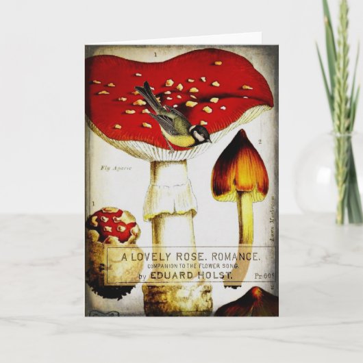 Carte de voeux de champignon de poulet (Devant)