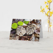 Carte de voeux de chasseur de morelle (Fleur jaune)