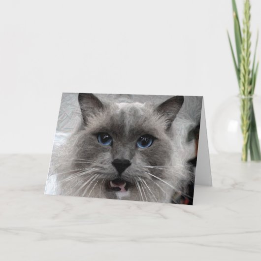 Carte de voeux de chat (Devant)