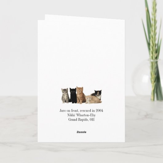 Carte de voeux de chat (Dos)