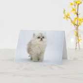 Carte de voeux de chat (Fleur jaune)