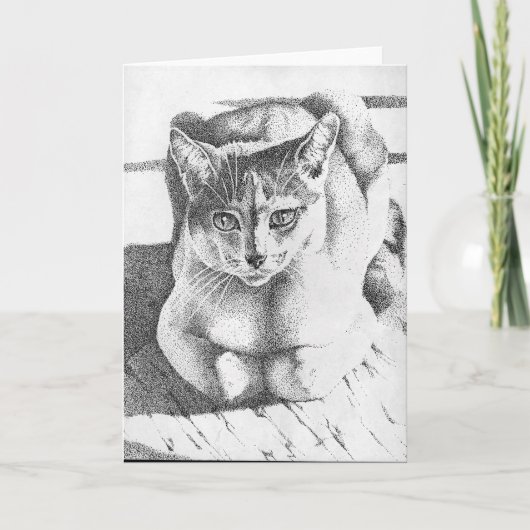 Carte de voeux de chat (Devant)