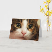 Carte de voeux de chat (Fleur jaune)