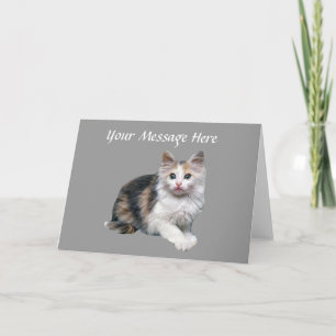 Carte de voeux de chat