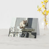 Carte de voeux de chat (Fleur jaune)