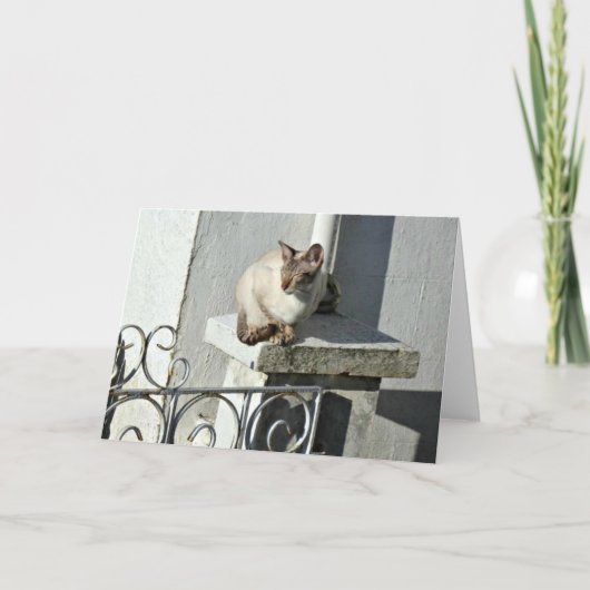 Carte de voeux de chat (Devant)