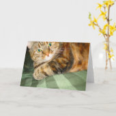 Carte de voeux de chat (Fleur jaune)