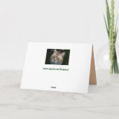 Carte de voeux de chat de McGonagall (Dos)