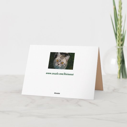 Carte de voeux de chat de McGonagall (Dos)