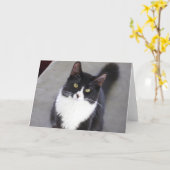 Carte de voeux de chat de smoking (Fleur jaune)