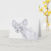 Carte de voeux de chat de Sphynx (Fleur jaune)