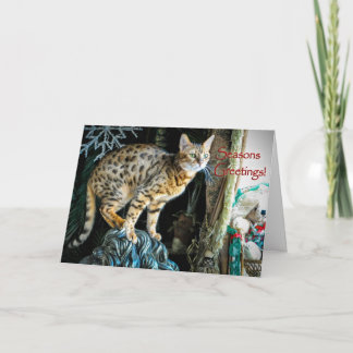 Carte de voeux de chat du Bengale de vacances