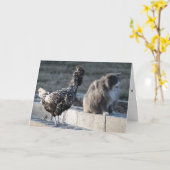 Carte de voeux de chat et de poulet (Fleur jaune)