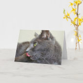 Carte de voeux de chat gris (Fleur jaune)