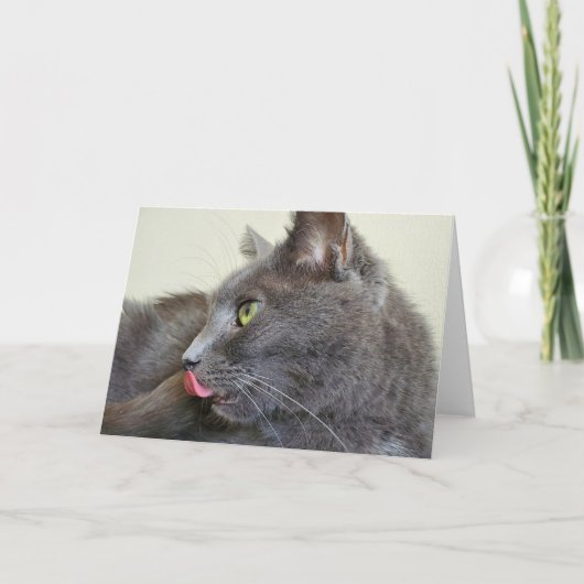 Carte de voeux de chat gris (Devant)