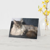 Carte de voeux de chat Maine Coon (Fleur jaune)