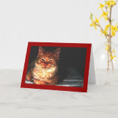 Carte de voeux de chat vierge... (Fleur jaune)
