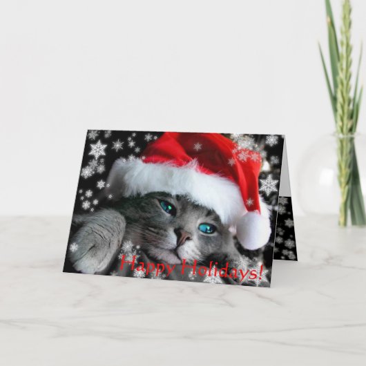 Carte de voeux de chaton de Père Noël (Devant)