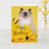 Carte de voeux de chaton de Ragdoll (Fleur jaune)