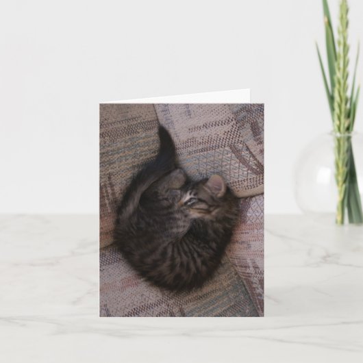 Carte de voeux de chaton de yoga (Devant)