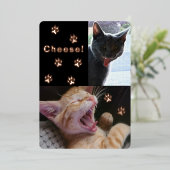 Carte de vœux de chats drôles qui rient (Debout devant)