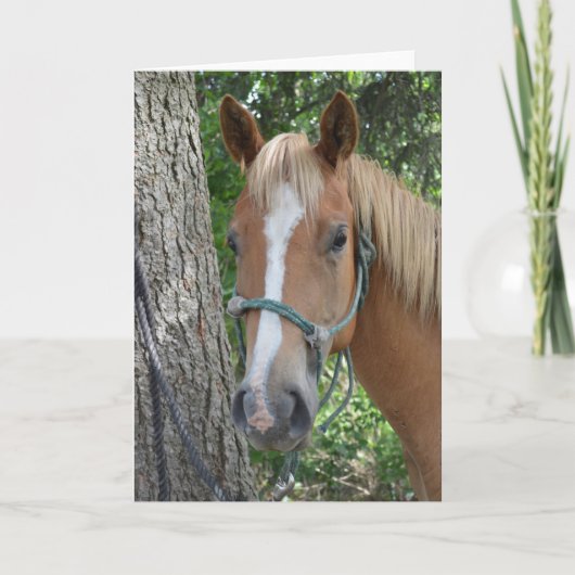 Carte de voeux de cheval (Devant)