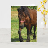 Carte de voeux de cheval de trait (Fleur jaune)