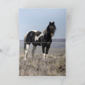 Carte de voeux de Cheval Sauvage - Gadriel et sa f (Intérieur)