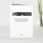 Carte de voeux de Cheval sauvage - Stallion du Pal (Dos)